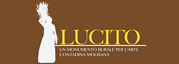 museo-lucito