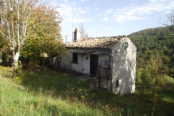 country home