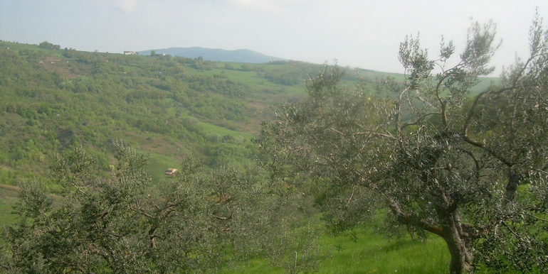 land for sale in molise
