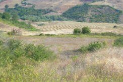 land for sale in molise
