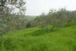 land for sale in molise