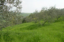 land for sale in molise