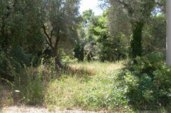 property for sale in italy