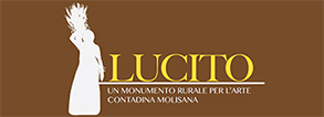 Museo Lucito