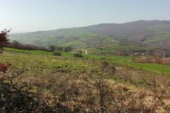 country house in Molise