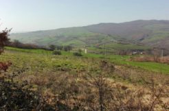 country house in Molise