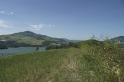 land overlooking the lake