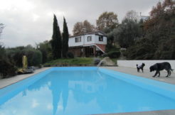 villa with pool