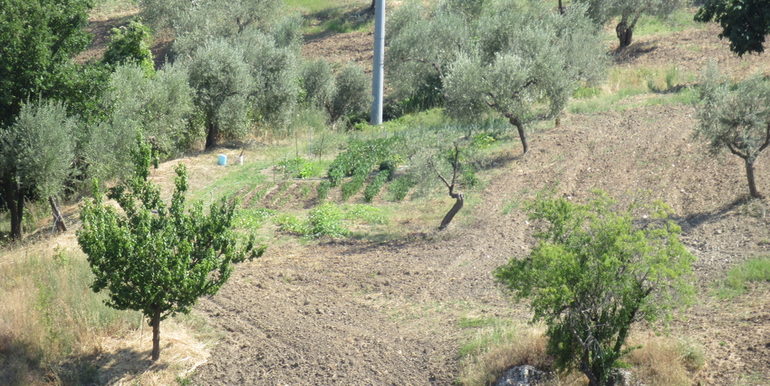 rural house with land