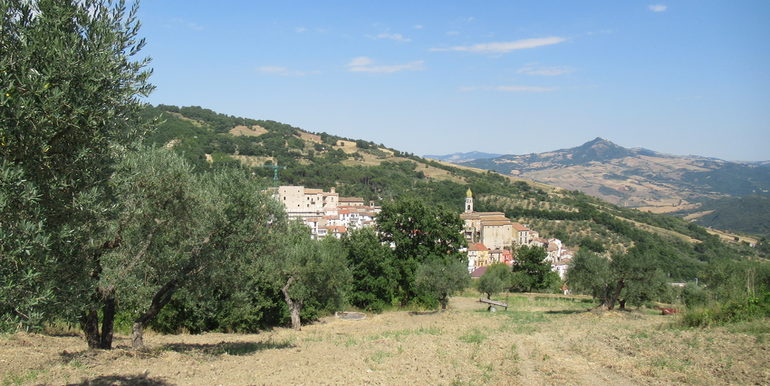 rural house with land