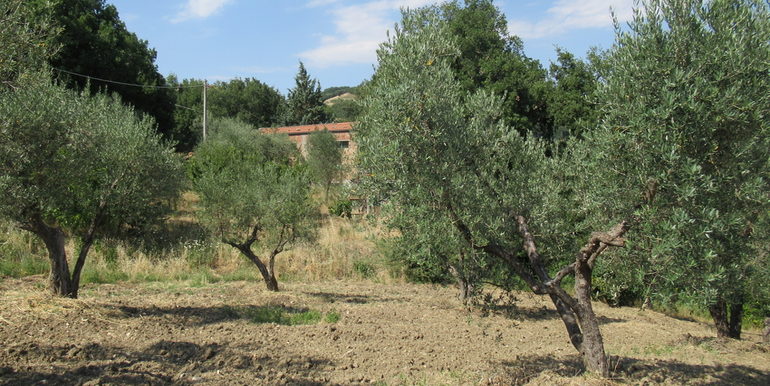 rural house with land