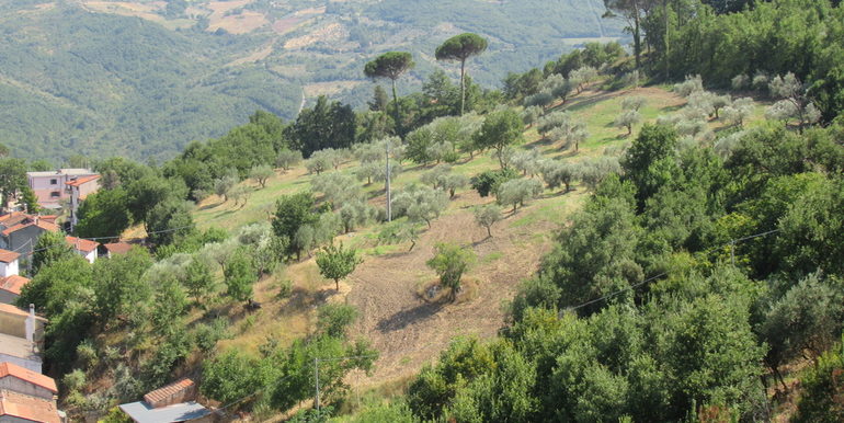 rural house with land