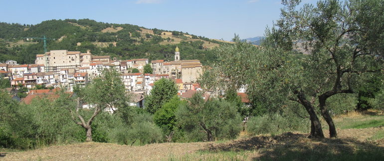 rural house with land