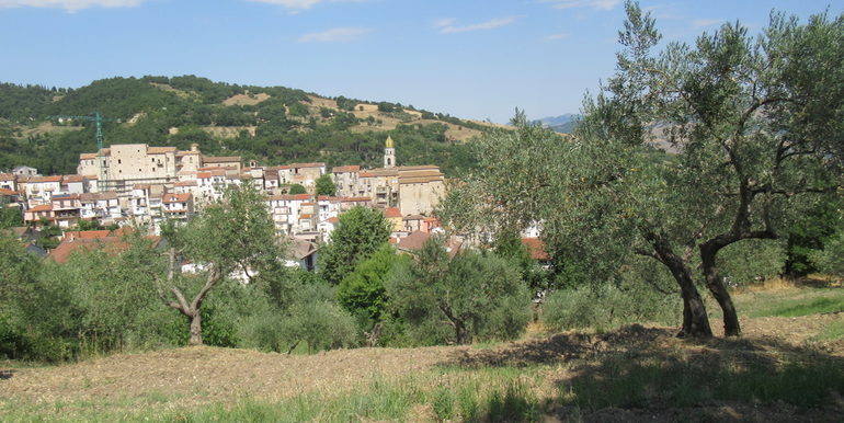 rural house with land