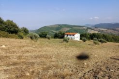 country house in Molise