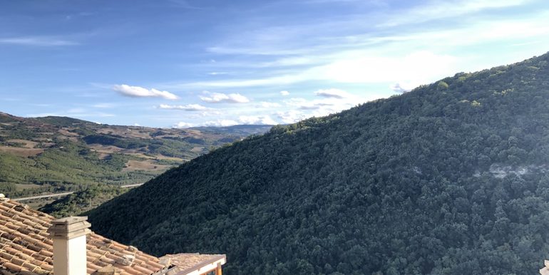 view